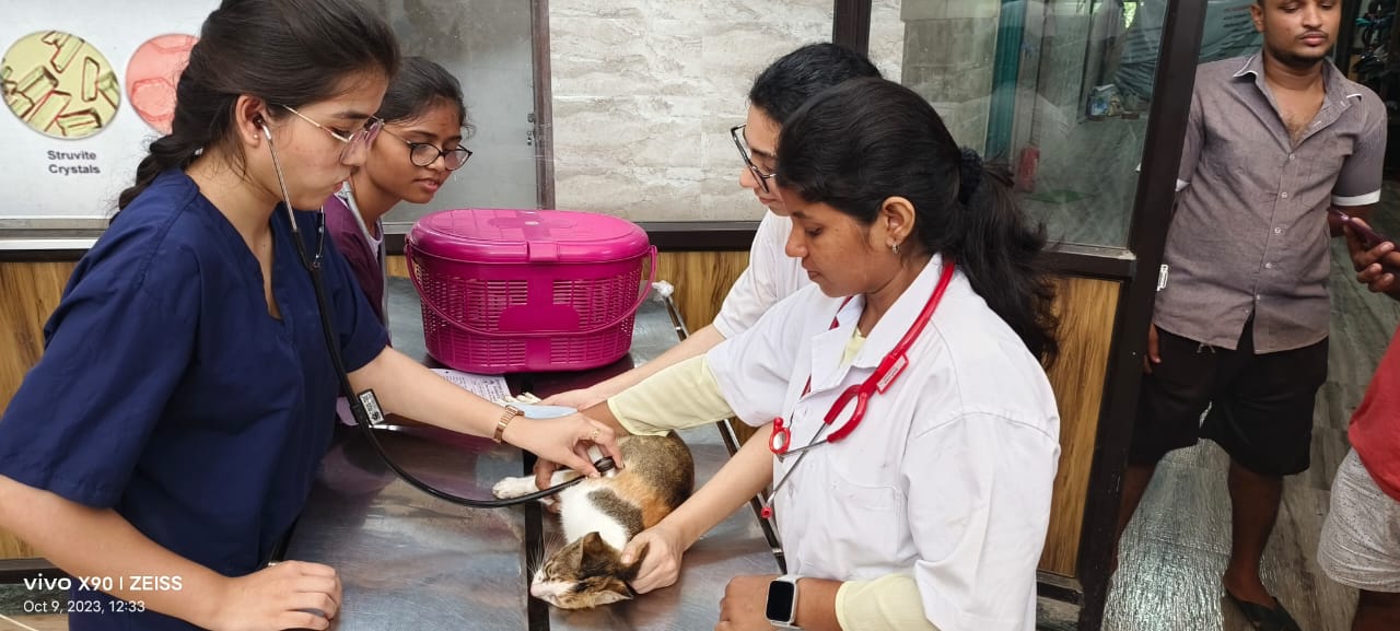 Auscultation VCC Goregaon MVC